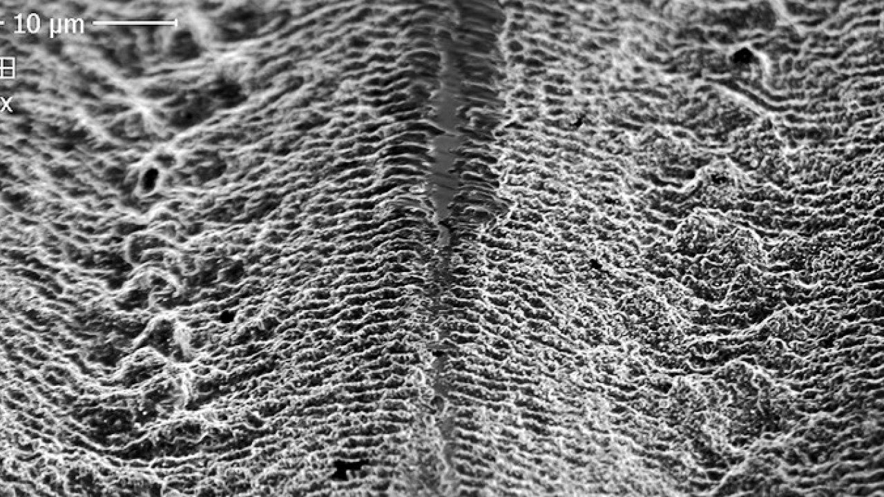 レーザーを使ってテラヘルツ波実用化に挑む | 沖縄科学技術大学院大学